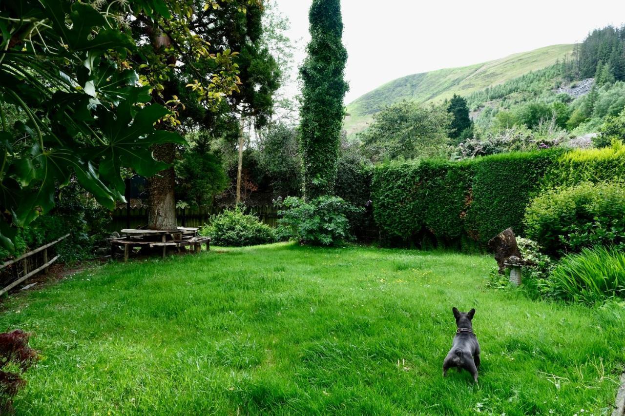 The Buckley Arms Hotel Dinas Mawddwy Luaran gambar